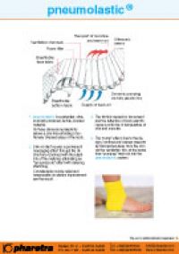 pneumolastic_englisch_mini-640f163c Download